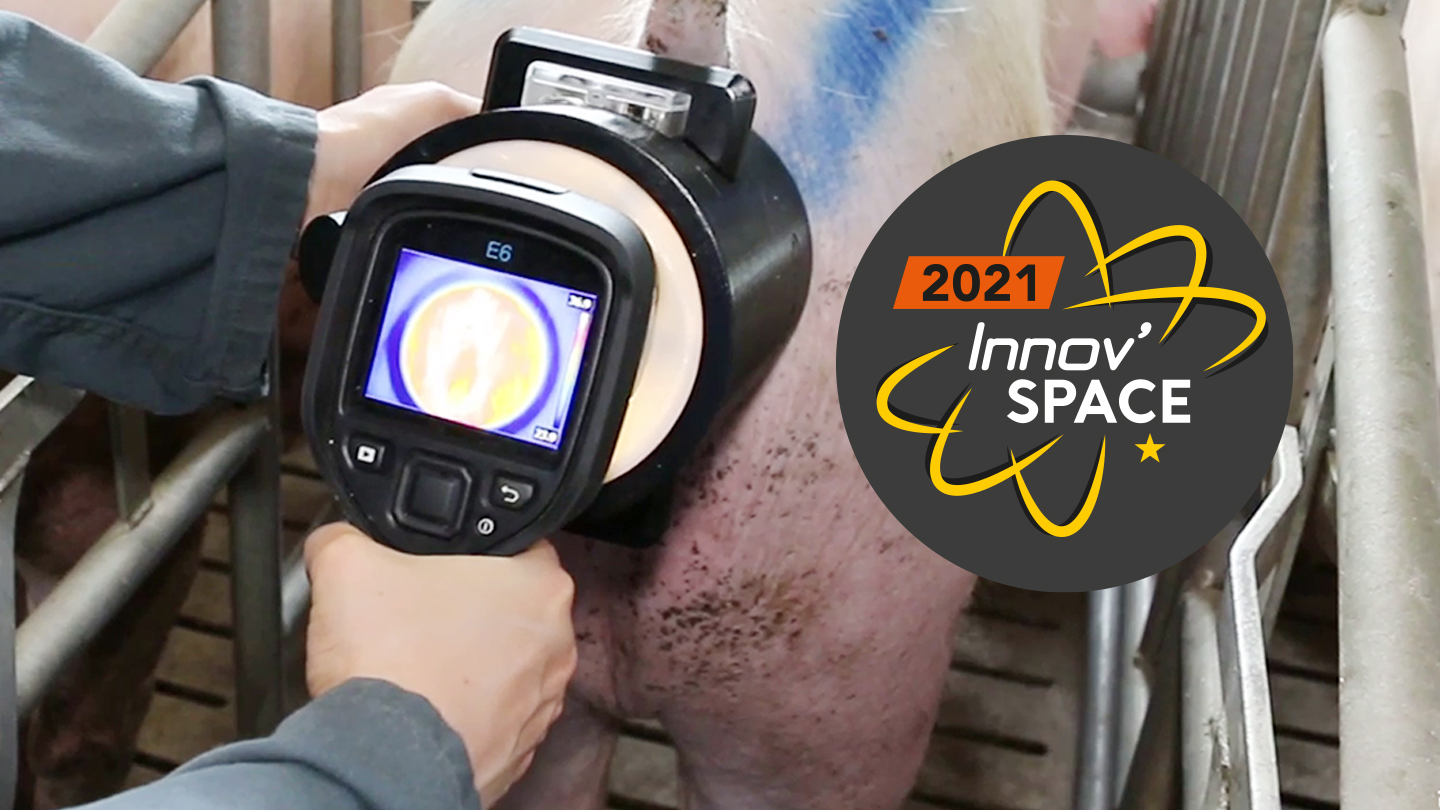 gwiz-prise-temperature-synthese_elevage-dilepix-innovspace