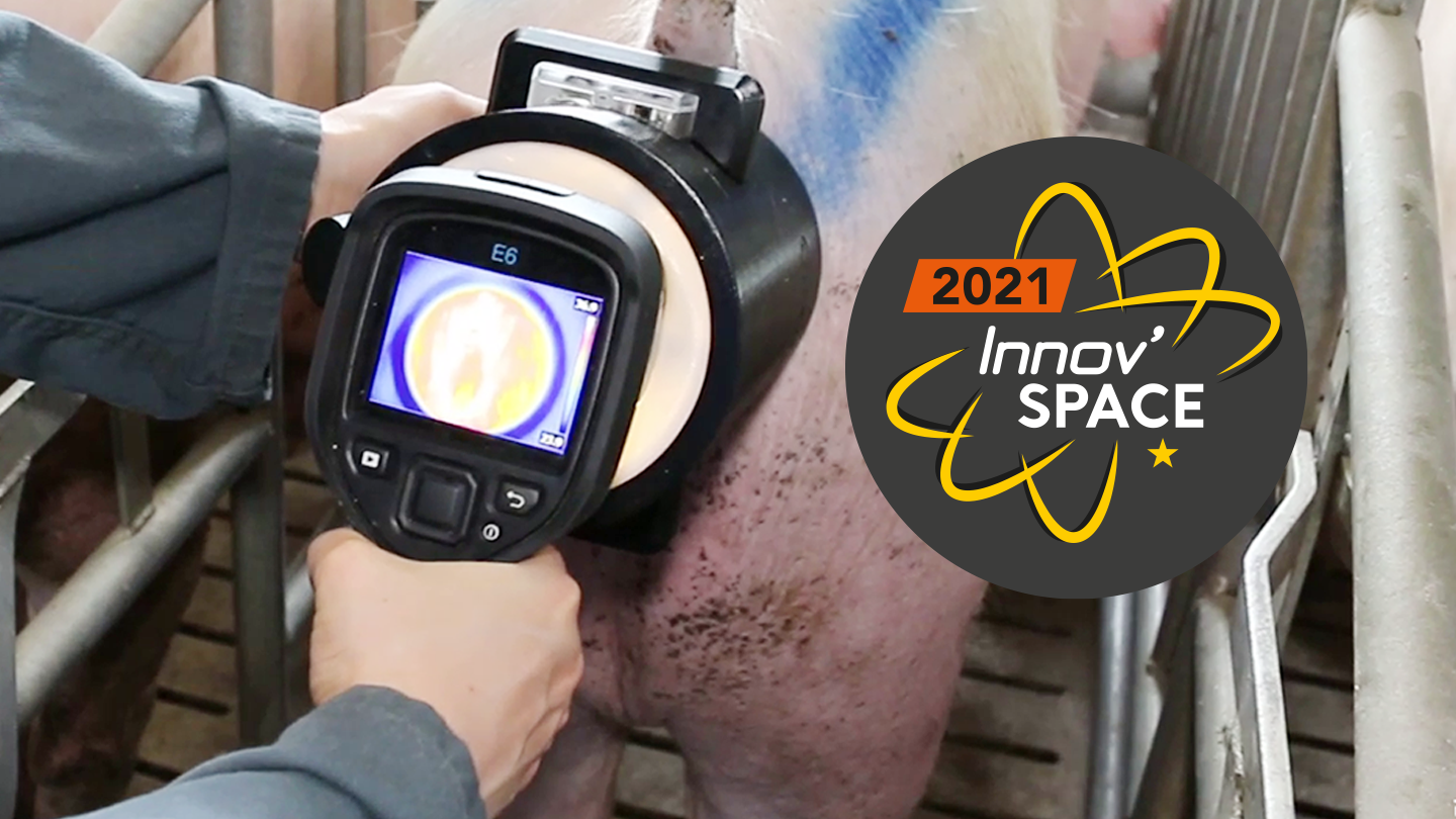 gwiz-prise-temperature-synthese_elevage-dilepix-innovspace