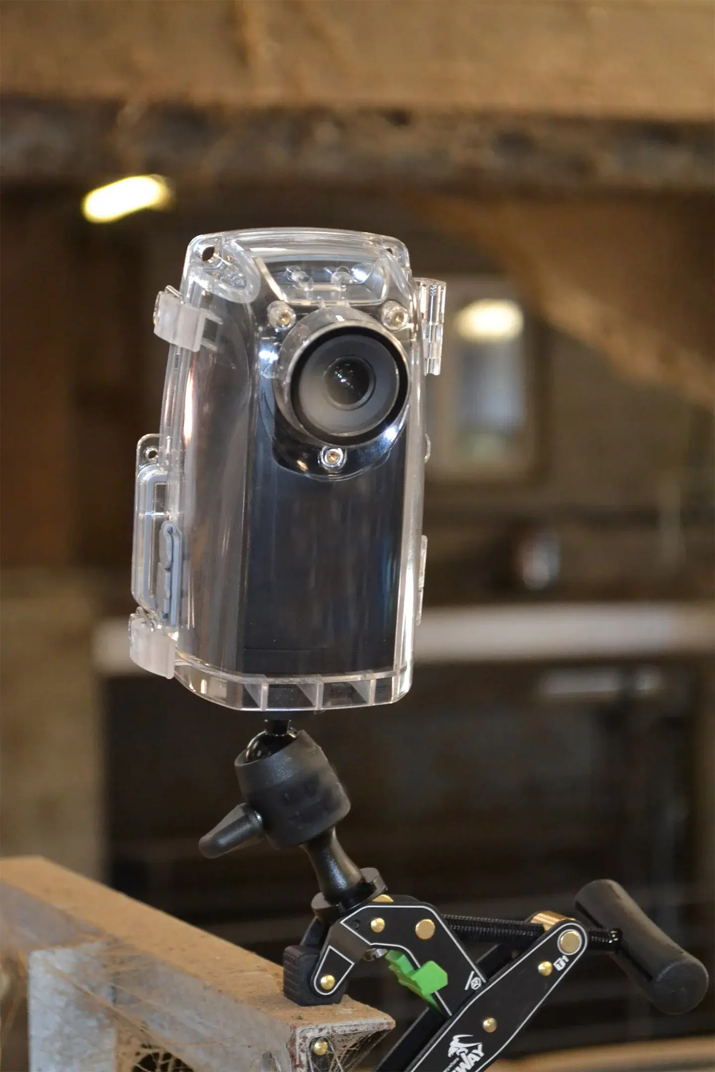 Detection camera in a breeding