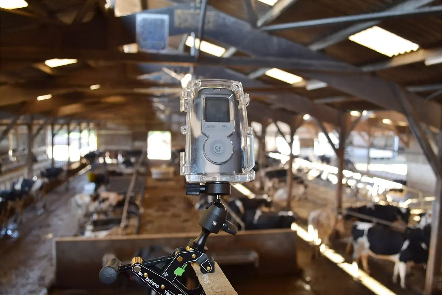 Automatic surveillance camera in livestock building