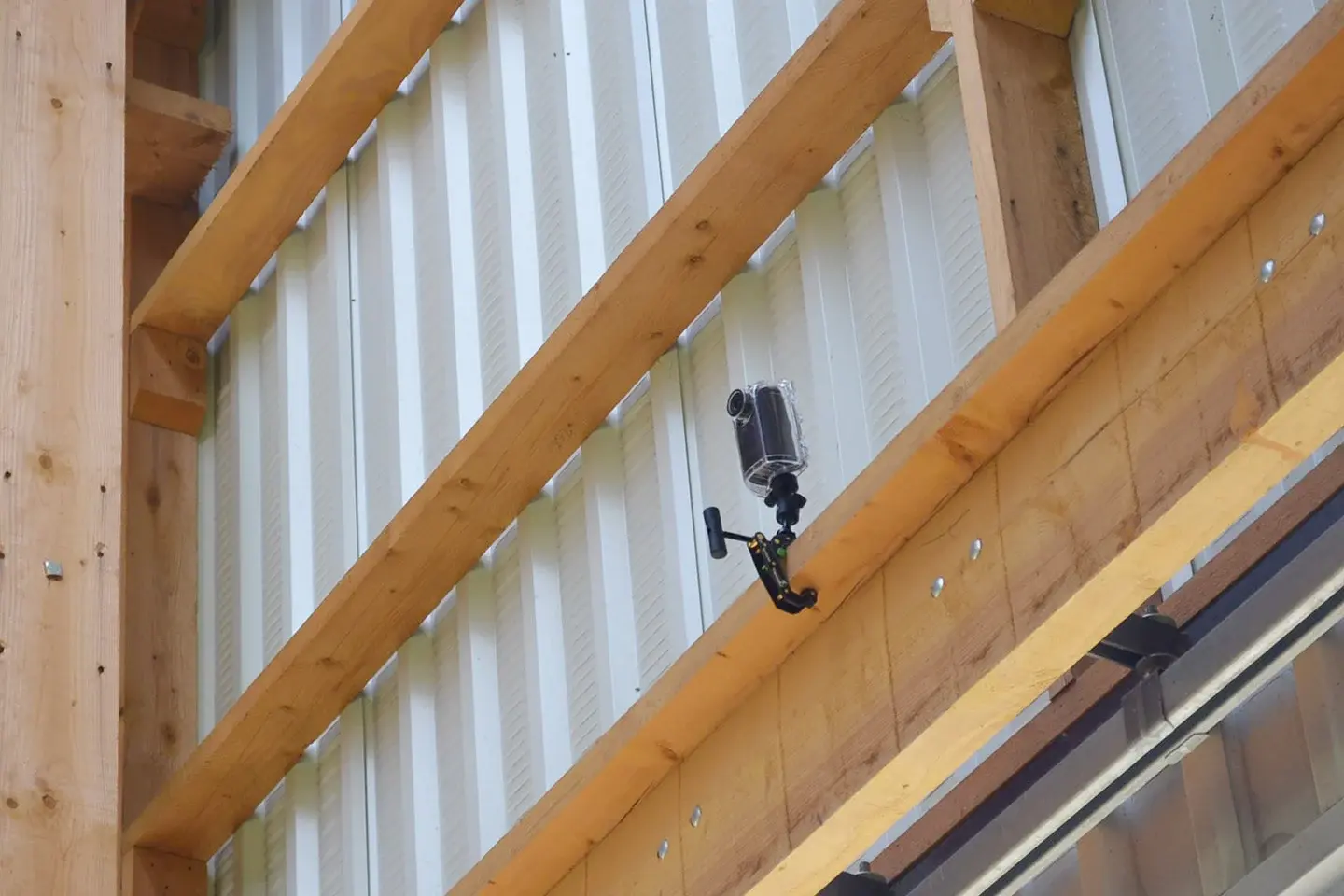 Surveillance camera in a livestock building