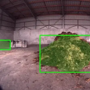 pig-activity-dilepix300x400