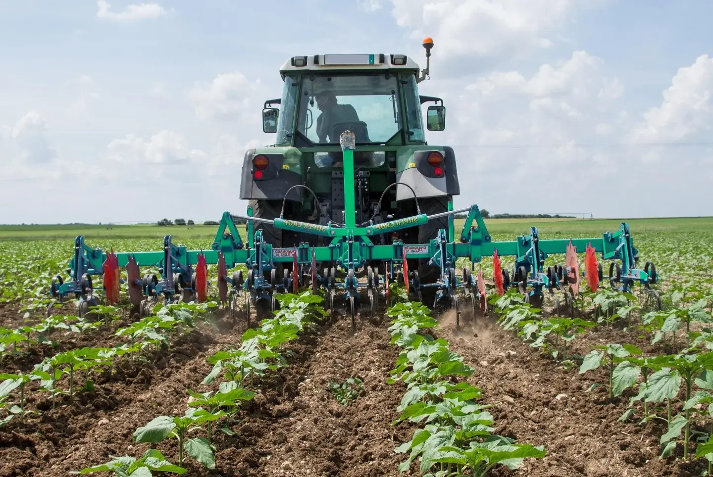 tracteur-champs-cultures-legumières