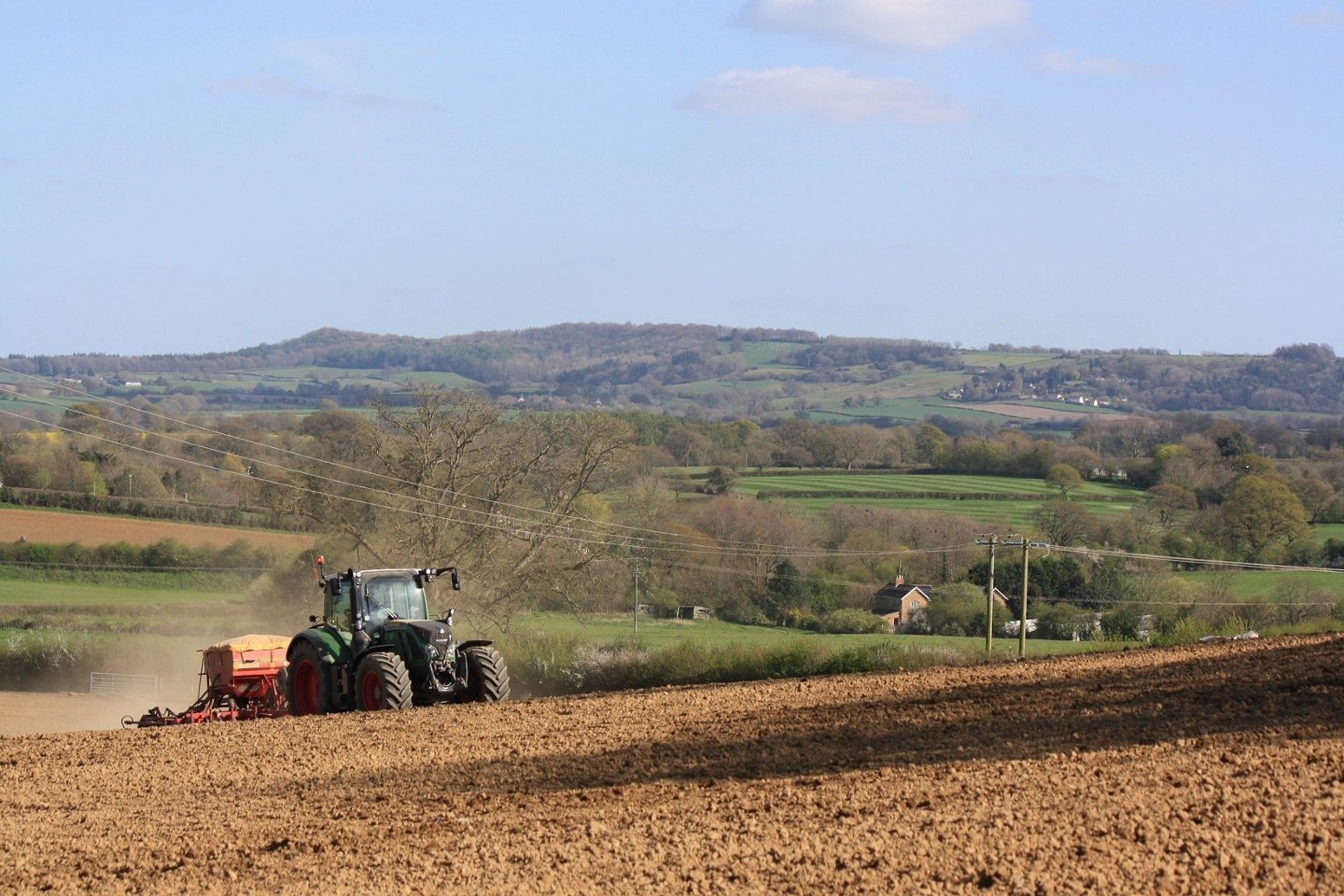 Semis du blé dans un champ