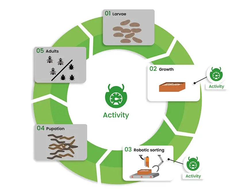 Insects_activity_Dilepix