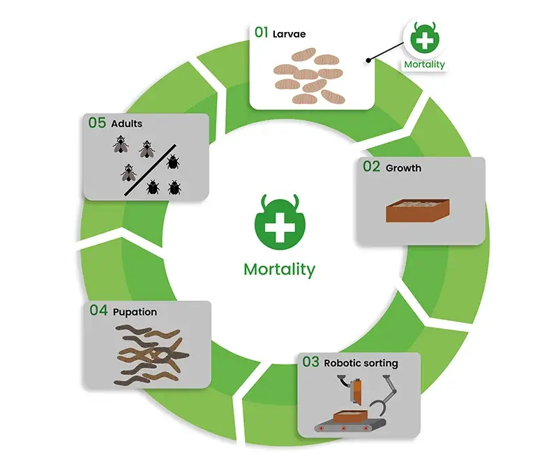 Insects_mortality_dilepix