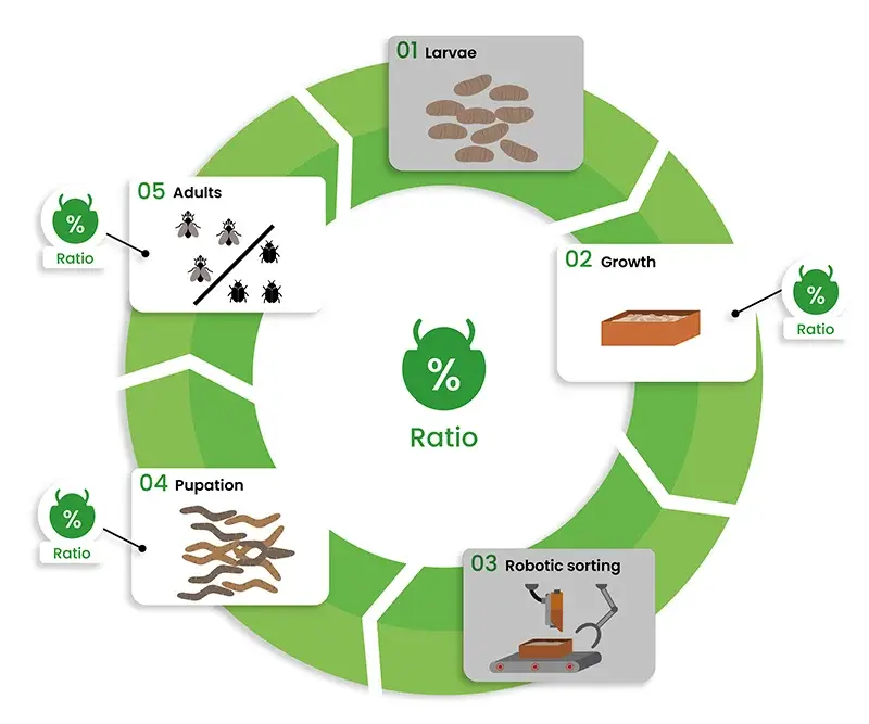 Insects_ratio_dilepix_EN