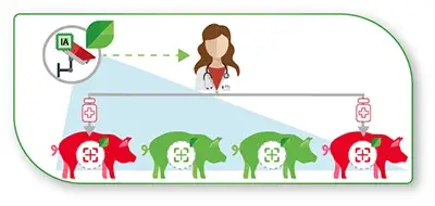 Porc-reduction-antibiotiques-dilepix