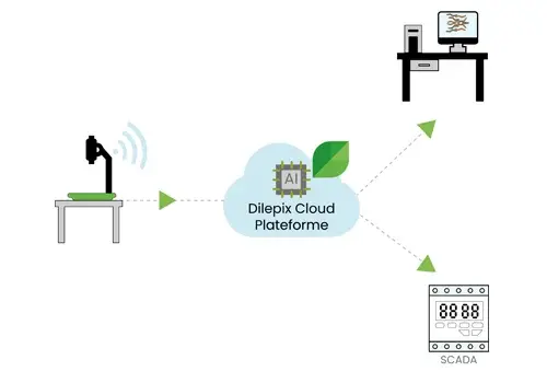 Schema-scada_webapp-insectes-dilepix