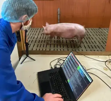 developpement-solution-porc-dilepix
