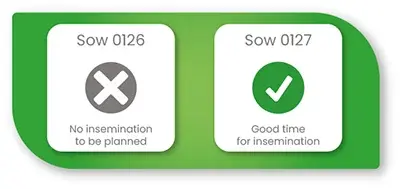 sow-insemination-module-EN
