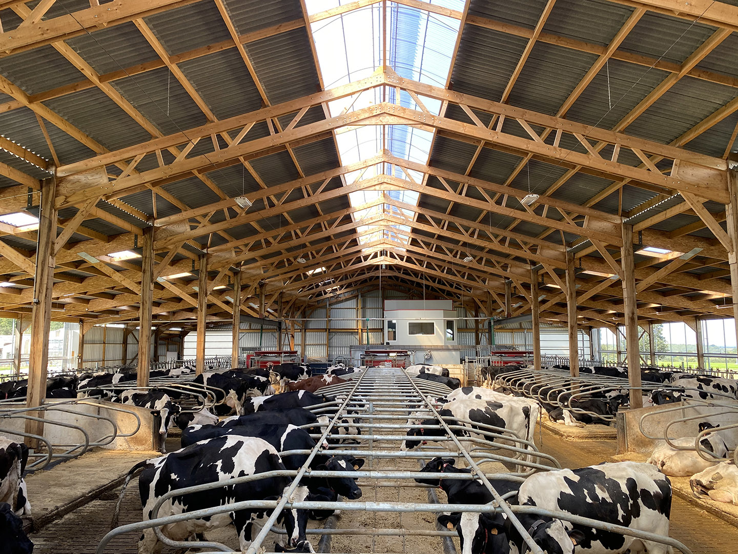 View of a monitoring camera in a cattle barn