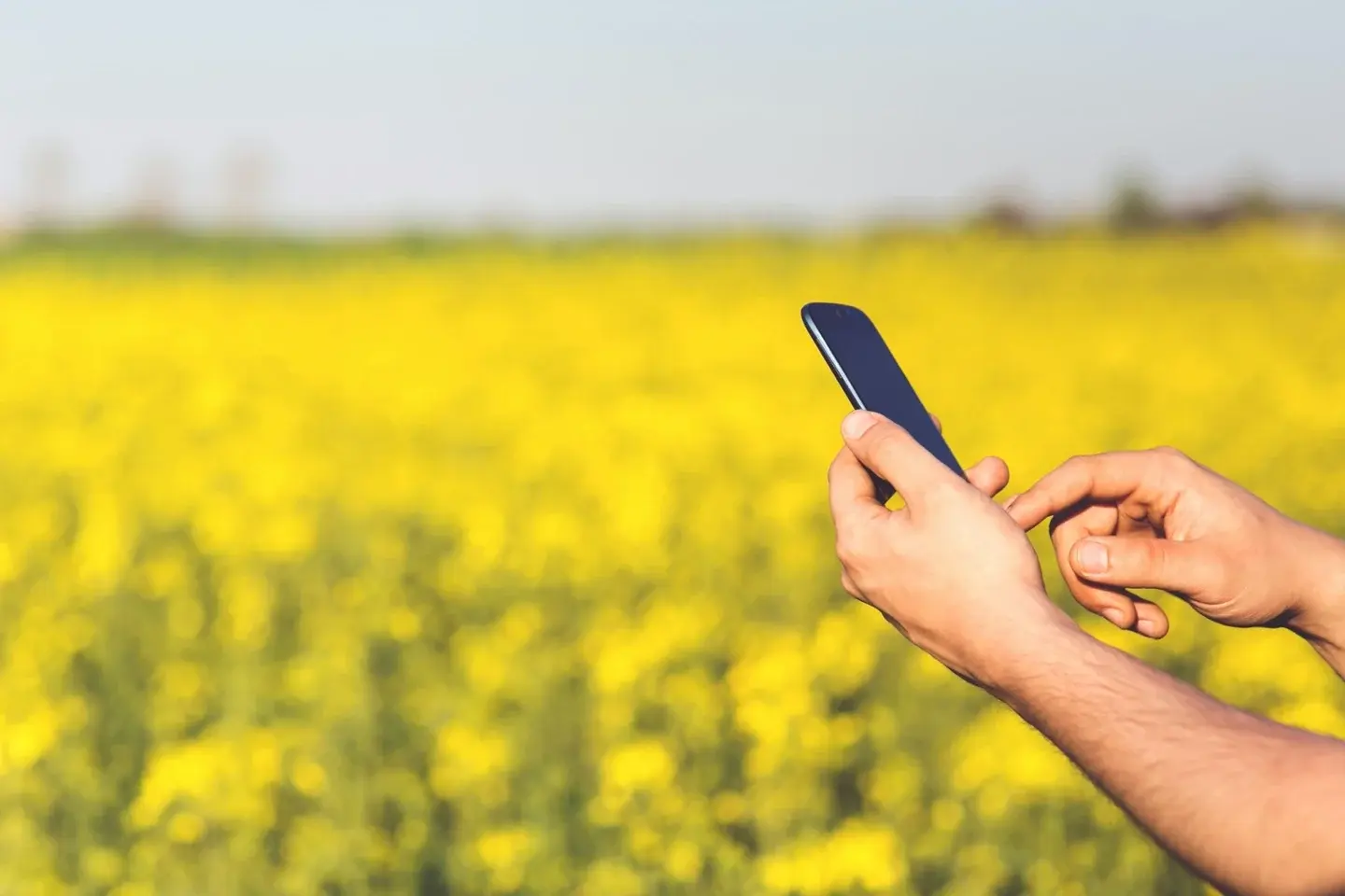 alerte-smartphone-menace-productions-vegetales