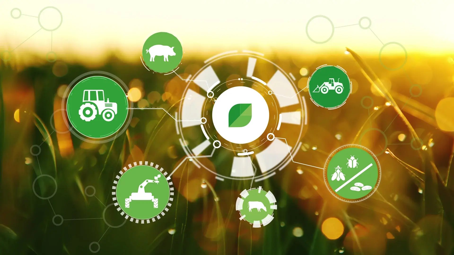 dilepix_visuel_home_picto2023